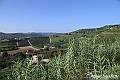 VBS_5798 - C'è un mare di velluto verde! E tu che sognavi di andare lontano... Quanta meraviglia, quì!